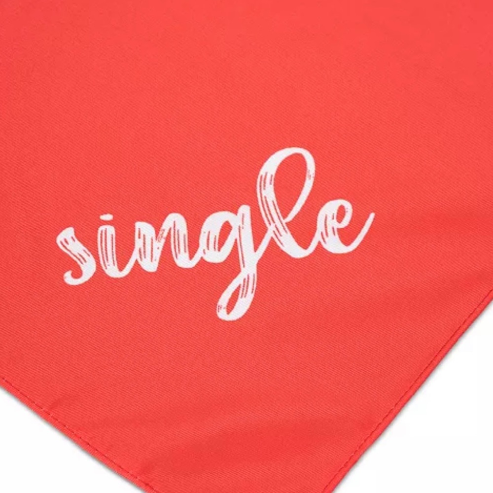 Collection XIIX Red Polyester Pet Bandana Tie Closure 16”x16” Written “Single”